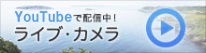 ライブカメラ