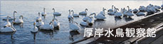 厚岸水鳥観察館