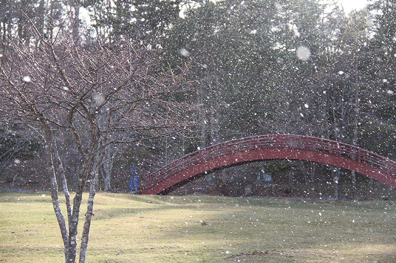 子野日公園