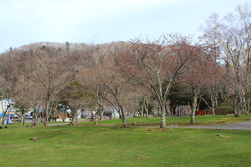 公園全体