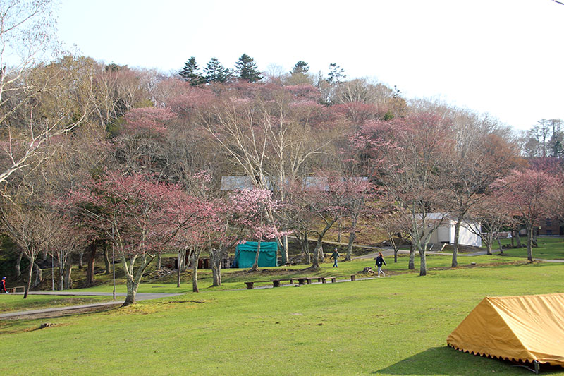 5月9日子野日公園全体