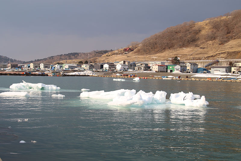 床潭にきた流氷