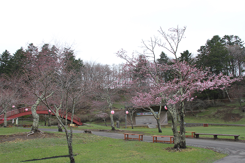 子野日公園