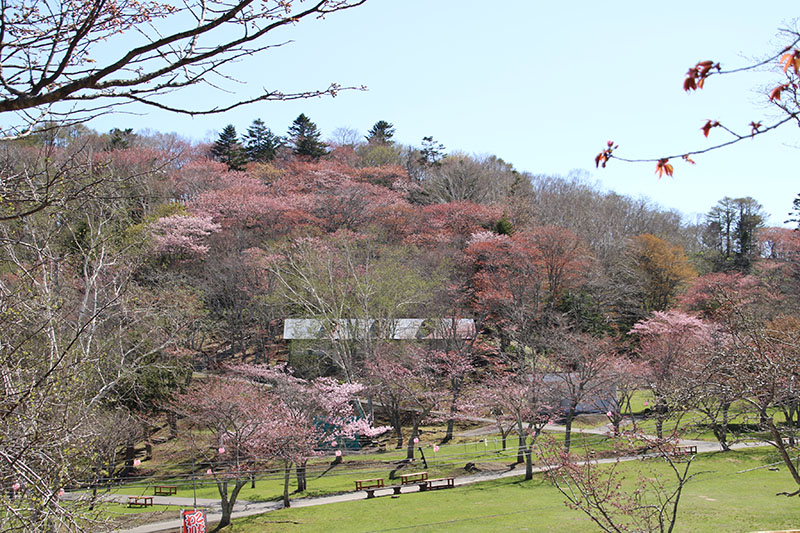5月12日の子野日公園