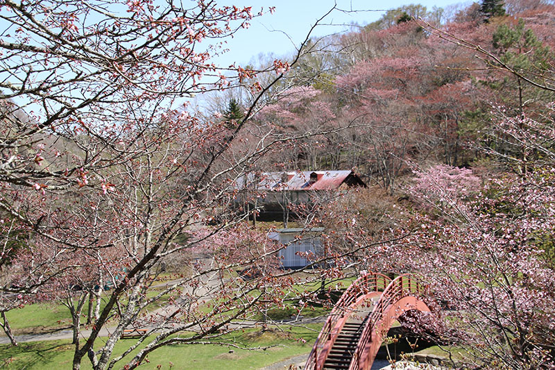 5月12日の子野日公園