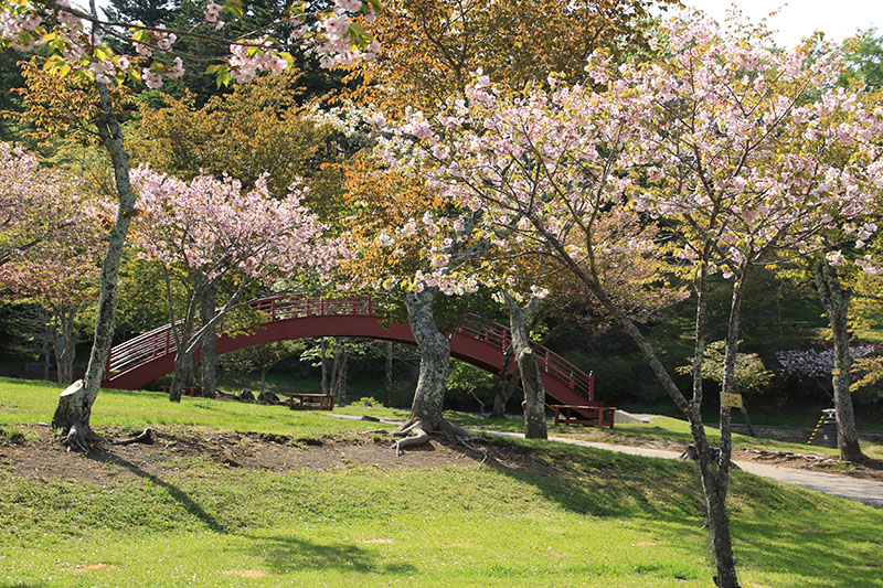 5月29日の子野日公園