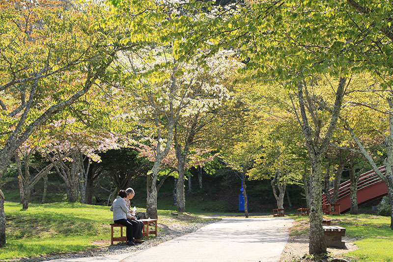 5月29日の子野日公園