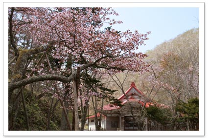 国泰寺とバラサン岬
