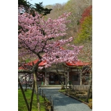 国泰寺とバラサン岬