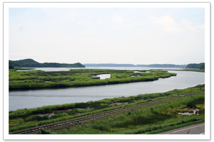 別寒辺牛湿原