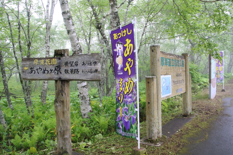 あやめヶ原看板