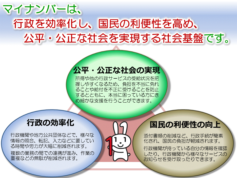 マイナンバー　社会基盤