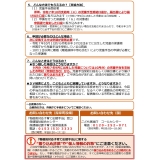 案内チラシ（裏）